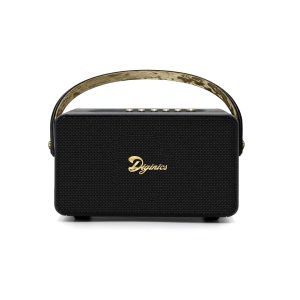 LOA NGHE NHẠC - DIGINICS JAZZY