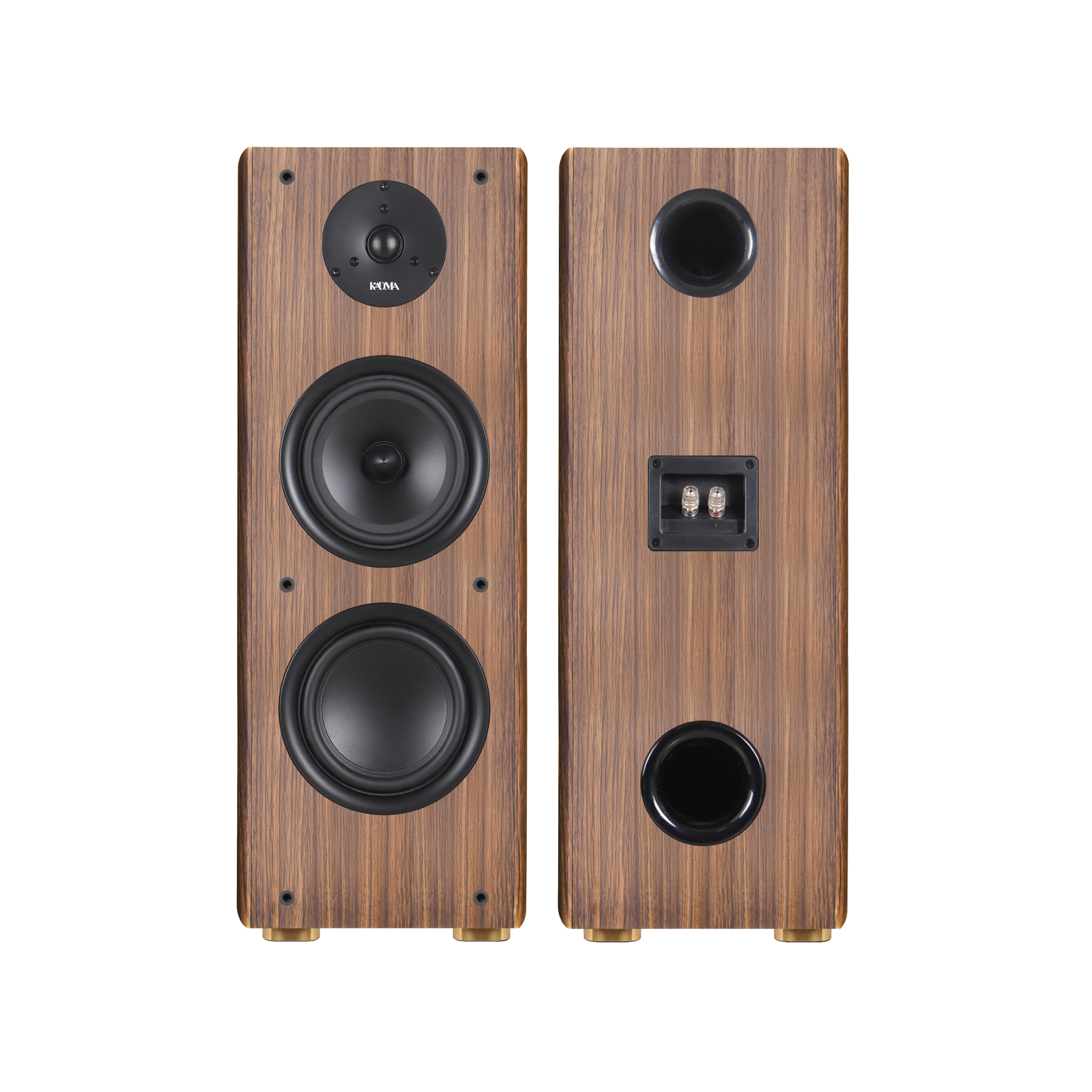 Loa KADMA BS56 - Bookshelf Bluetooth Active - Hình ảnh 5